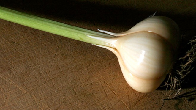 The Garlic Equation