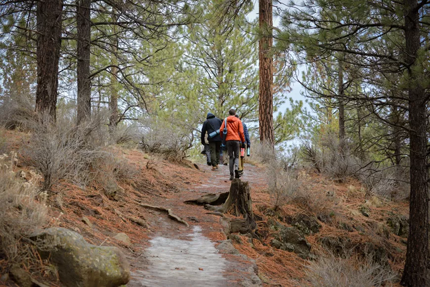 Forest Bathing In Bend Oregon