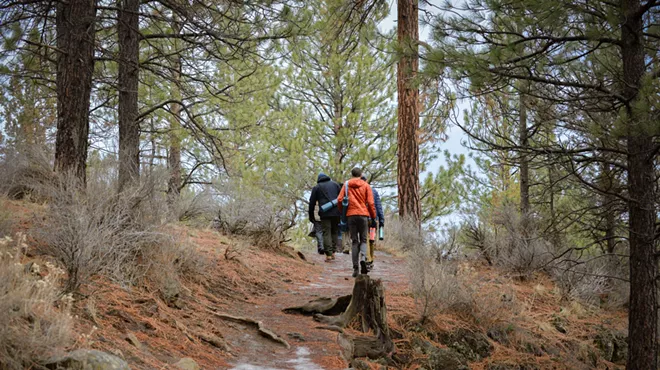 Image: The Heart of Forest Bathing