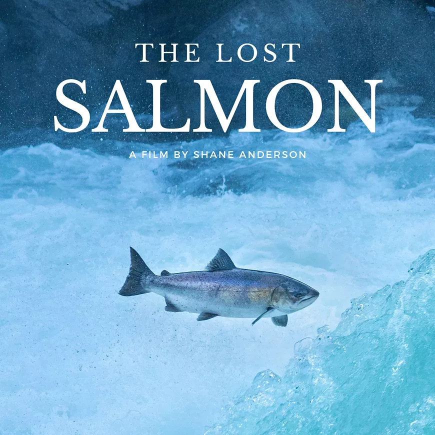 the-lost-salmon-final-square-2.webp