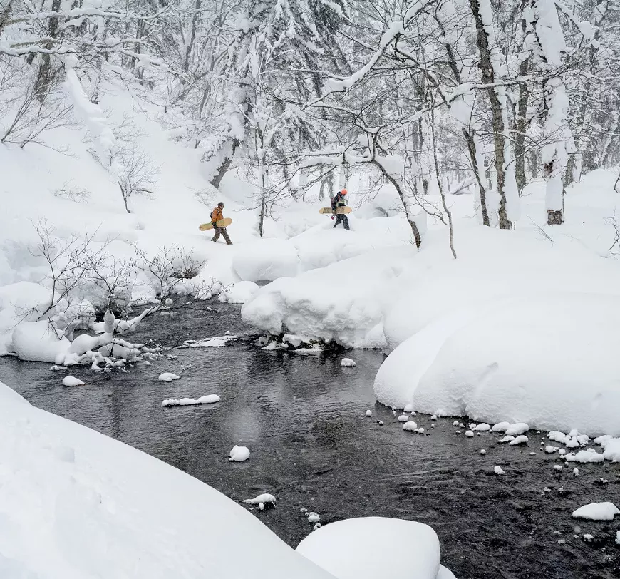 snow_creatures.webp