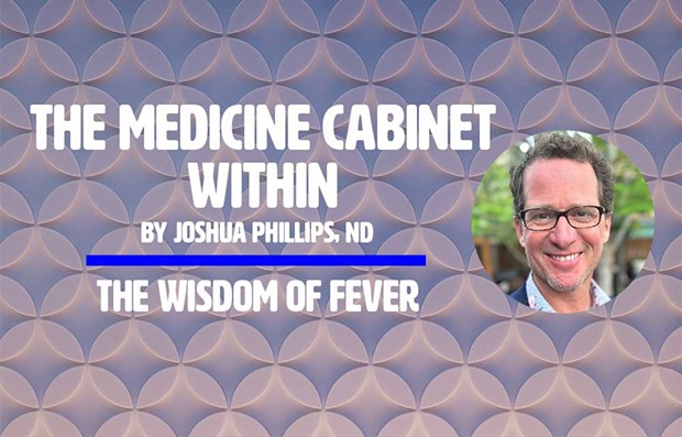 The Medicine Cabinet Within