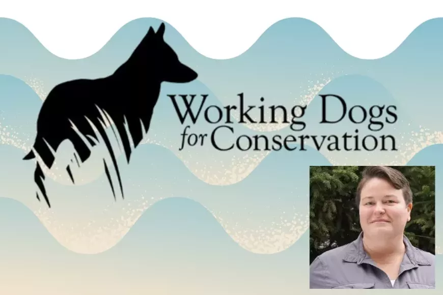 noseknowsworkingdogs-720x480-oct2025.webp