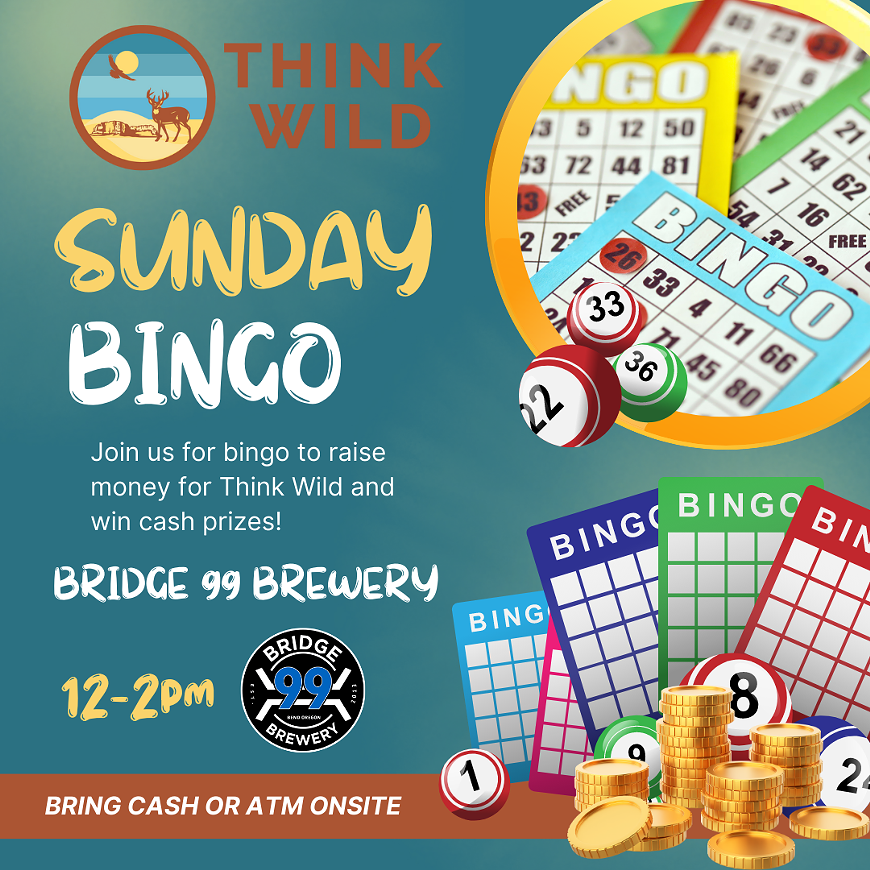 sunday-bingo-social.png