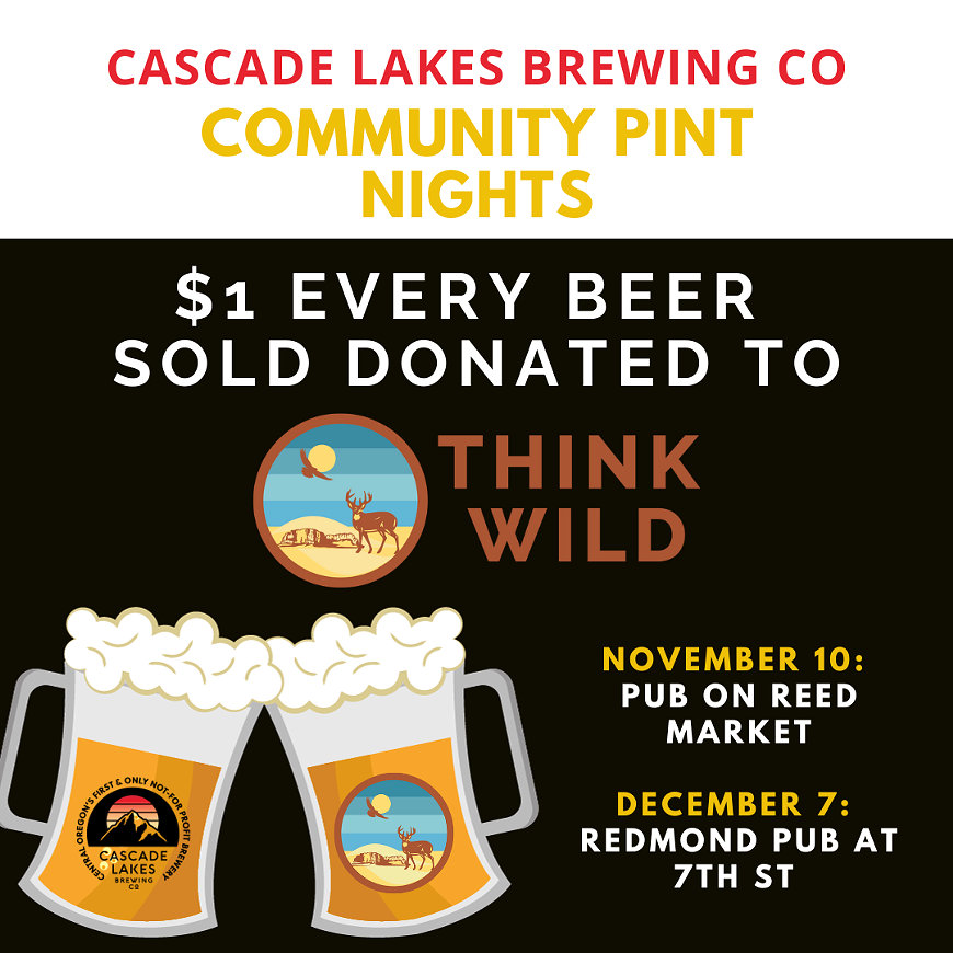 community_pint_night.png