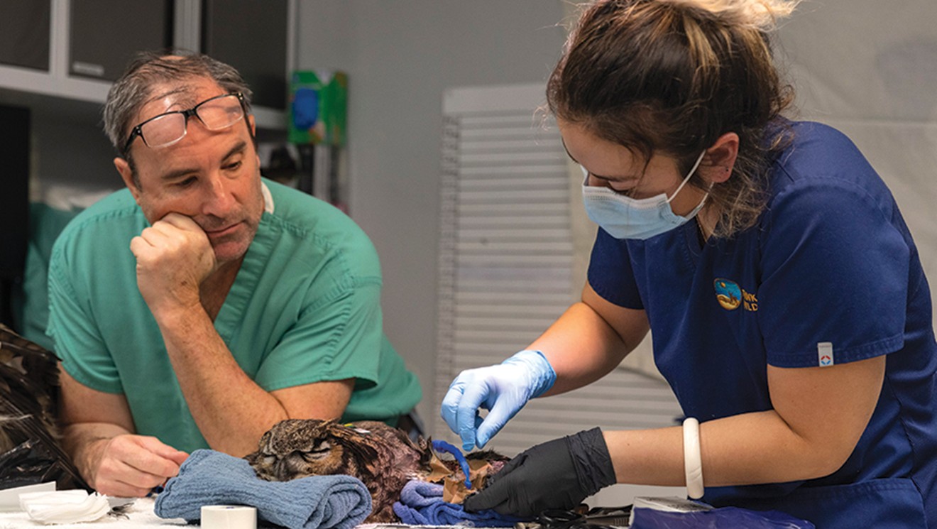 Think Wild Hosts Training with Renowned Raptor Orthopedic Surgeon