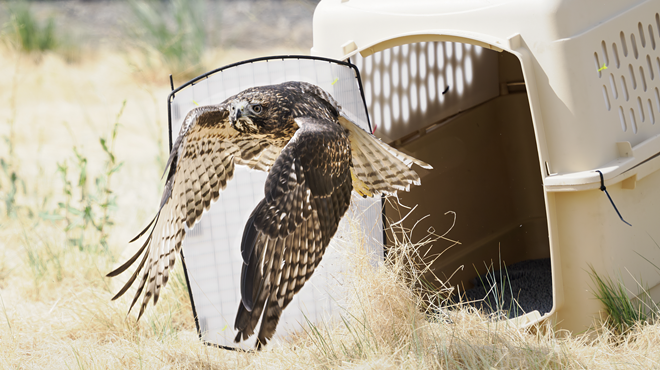 Image: Think Wild Volunteer Orientation
