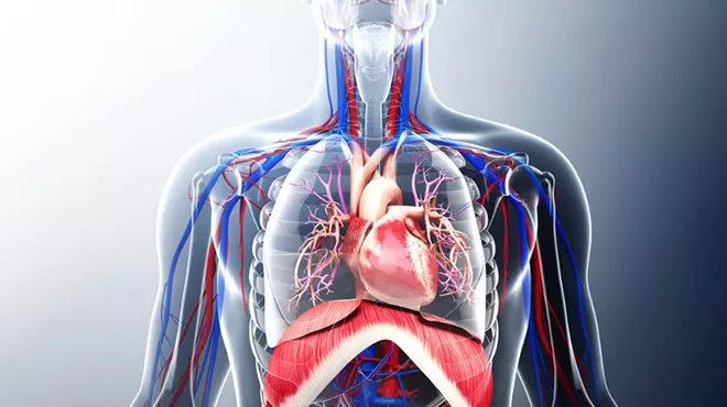 Image: Thoracic Synthesis: Advanced Manual Therapy Techniques for the Thorax, Ribs, and Neck with Regina Callahan and Elizabeth McClain