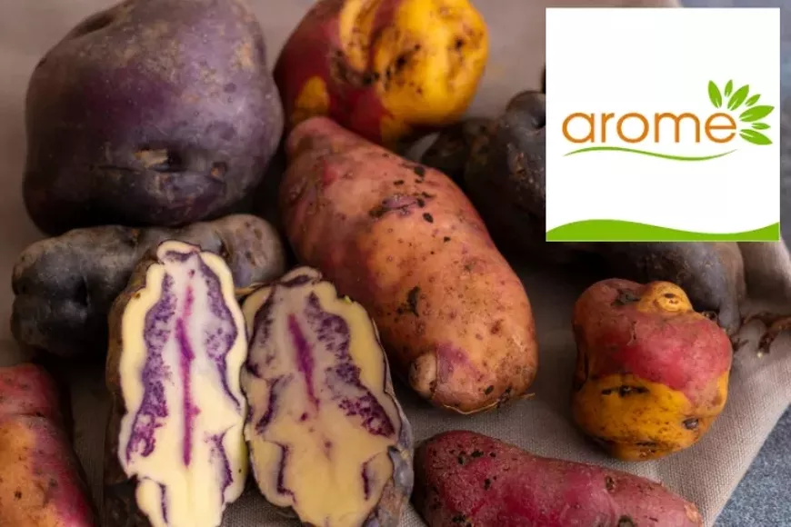 travelingfoods-720x480.webp