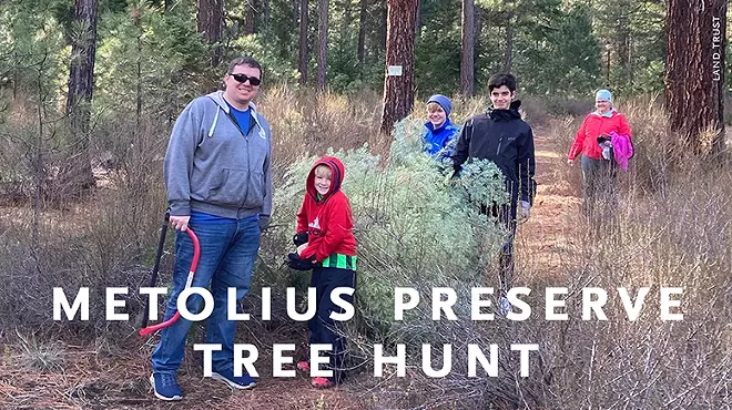 Image: Tree Hunt