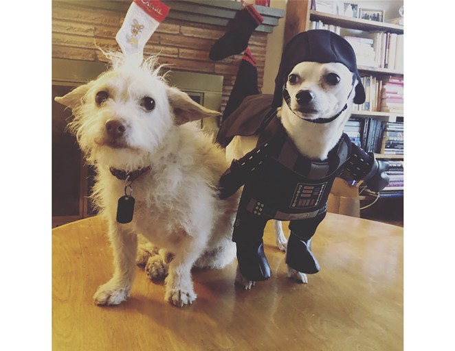 The Source Weekly - Pet Costume Contest!
