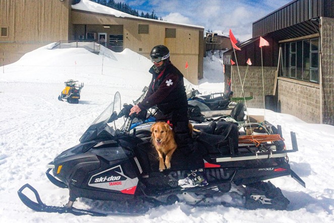 Mt. Bachelor introduces new avalanche rescue dog