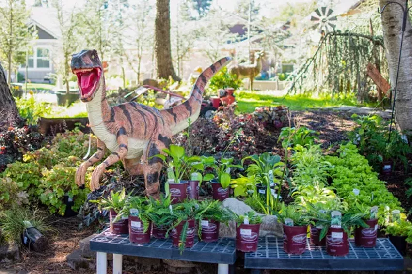 Best Nursery