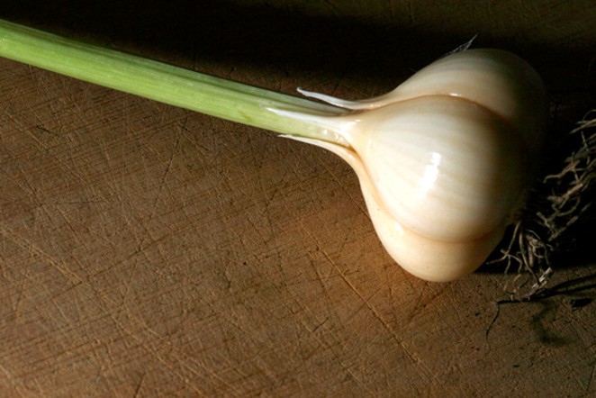 The Garlic Equation