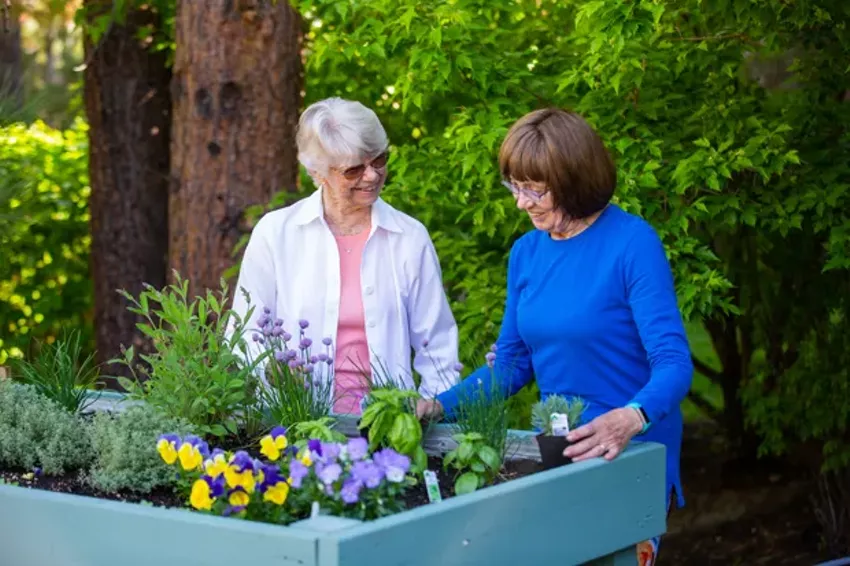 Best Senior Living Facility