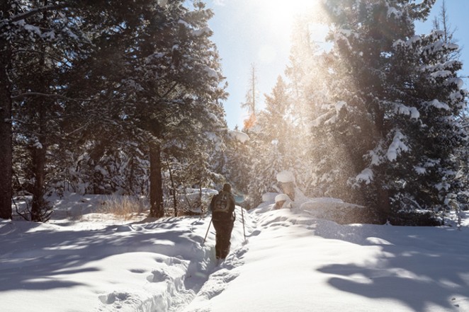 If You're New Here: Cross Country Skiing in Central Oregon