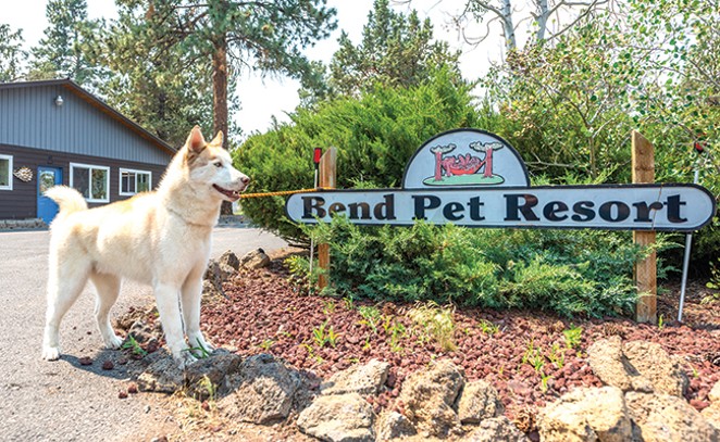 Best Pet Resort