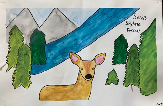Kids Have a Voice: Save Skyline Forest