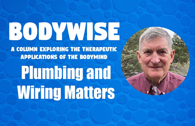 BodyWise: Plumbing and Wiring Matters