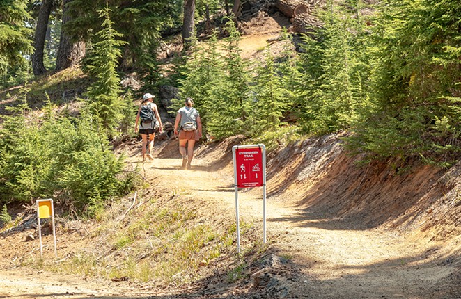 Exploring Evergreen: Mt. Bachelor's New Trail for Hikers and Bikers