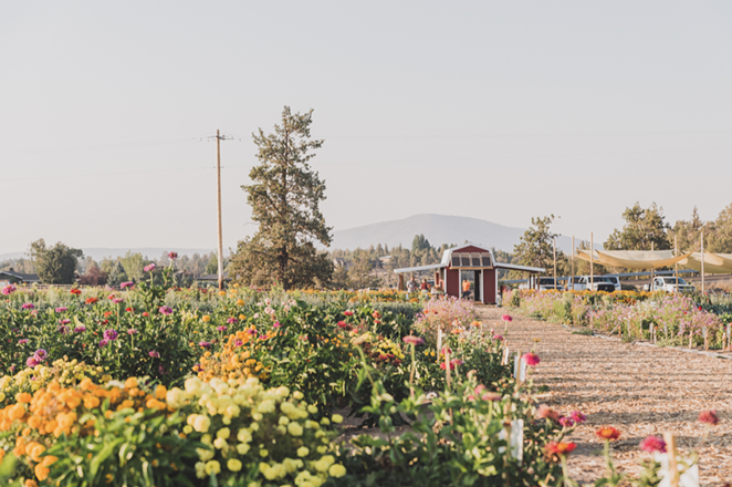 Announcing the Launch of a New 2024-25 Edition of the High Desert Food Trail!