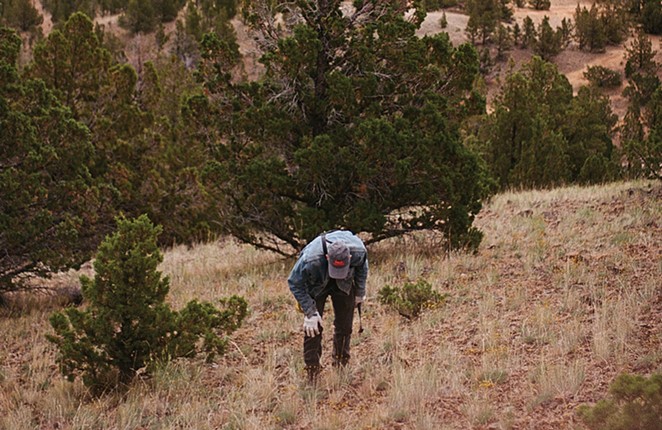 How to Get Started Rockhounding