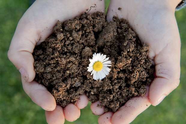 Farmer's Diary: Soil, Seeds and Other Beginnings