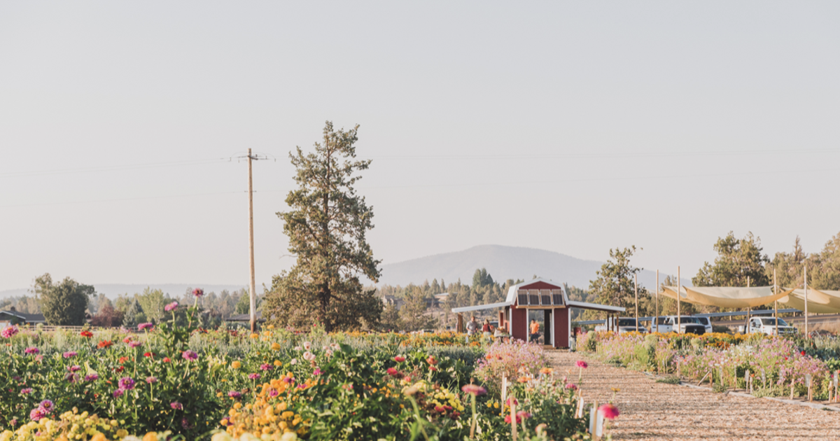 Announcing the launch of a new 2024-25 edition of the High Desert Food Trail! | The Source Weekly