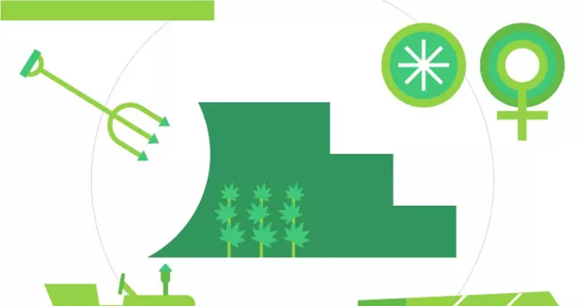 The State of Cannabis in Deschutes County—and Beyond | The Source Weekly -  Bend, Oregon