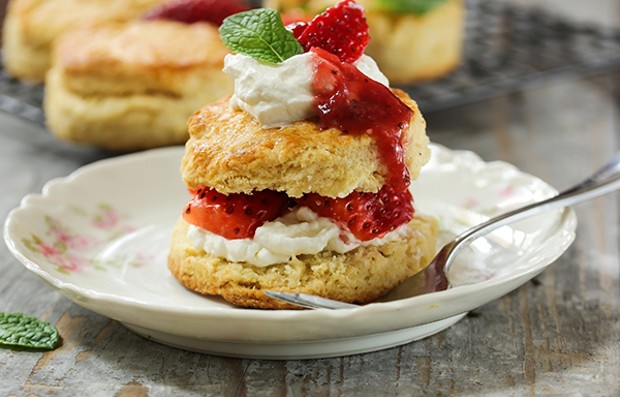 Strawberry Shortcake, A Summertime Favorite