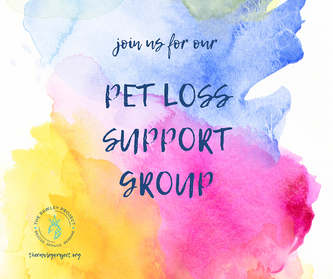 fb_pet_loss_support_group.png