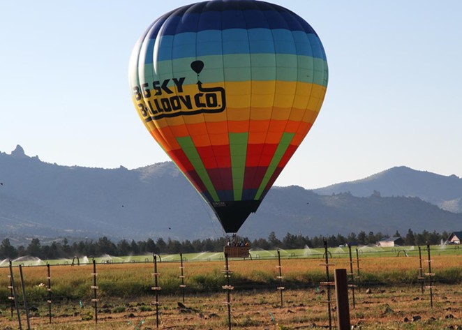 hot air balloon in our field next to our vineyard