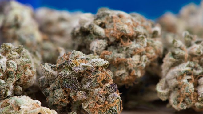 Four Great Oregon Cannabis Brands