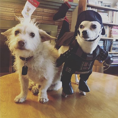 The Source Weekly - Pet Costume Contest!