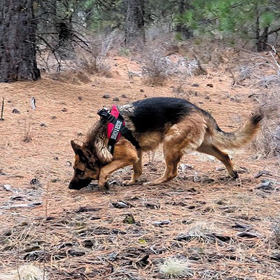 The Nose Knows: Working K-9s of Central Oregon