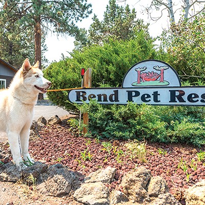 Best Pet Resort