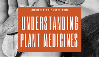 Understanding Plant Medicines