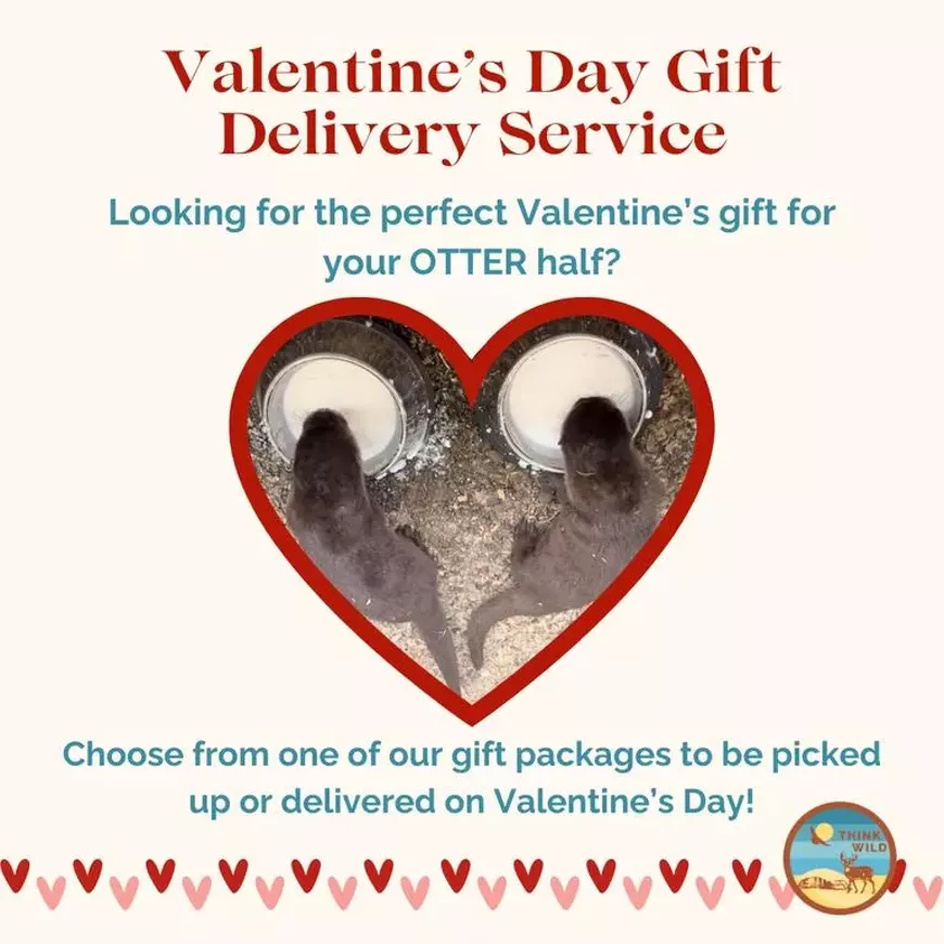 vday_gift_service.webp