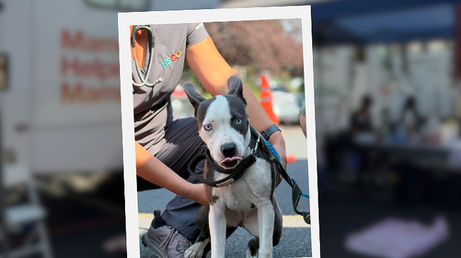 Image: Veterinary Wellness and Vaccine Walk-In Clinic