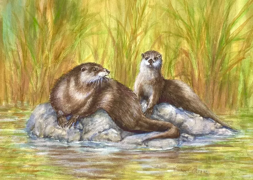 Otter&rsquo;s Watch