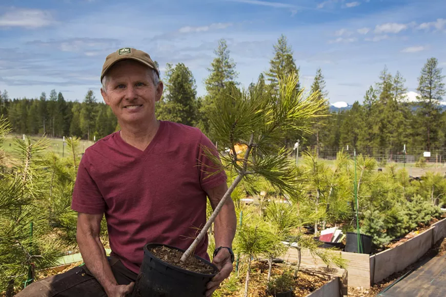 Volunteer Tree Planting Event