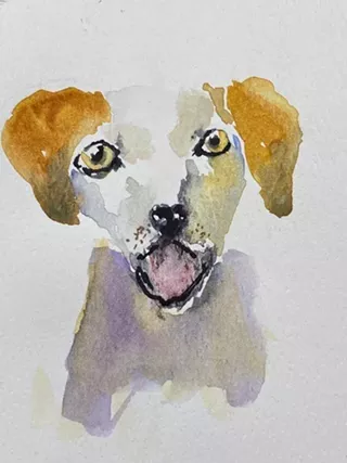Image: Watercolor Pet Portraits