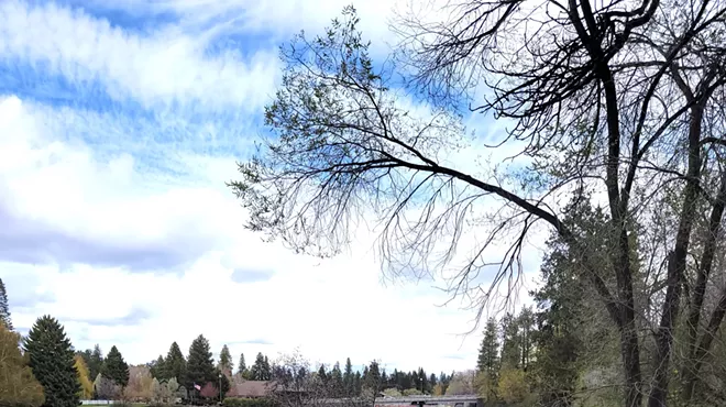Image: Weed Pull at Drake Park