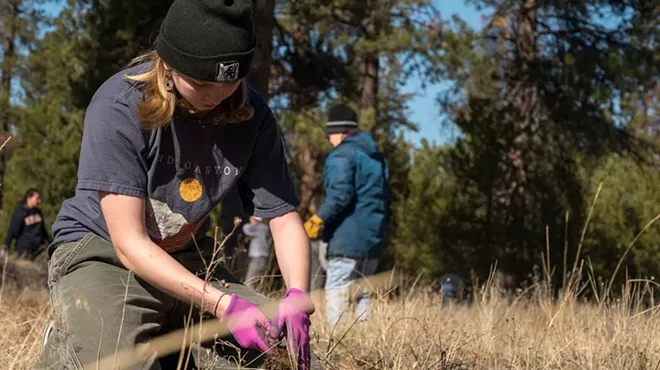 Image: Weed Warriors