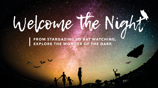 Image: Welcome the Night Party