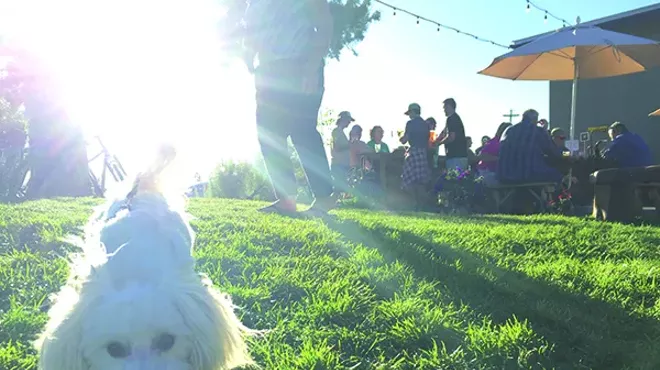 Image: Who Let the Dogs In?
