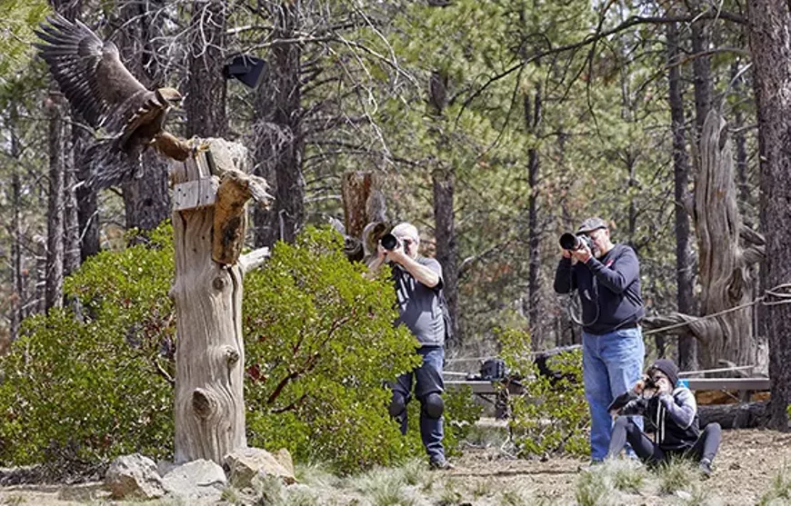 1.8_conservation_photography_570x365.webp