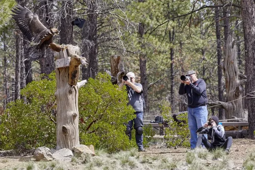 1.8-conservation-photography-768x512.webp