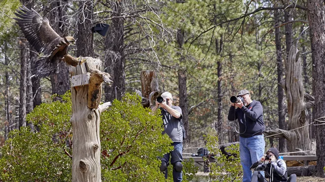 Image: Wildlife Conservation Photography