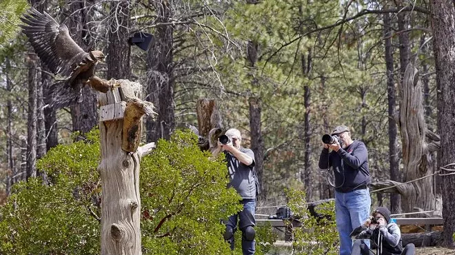 Image: Wildlife Conservation Photography
